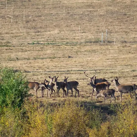 Secluded Dome Retreat Near Elena * Radovtsi